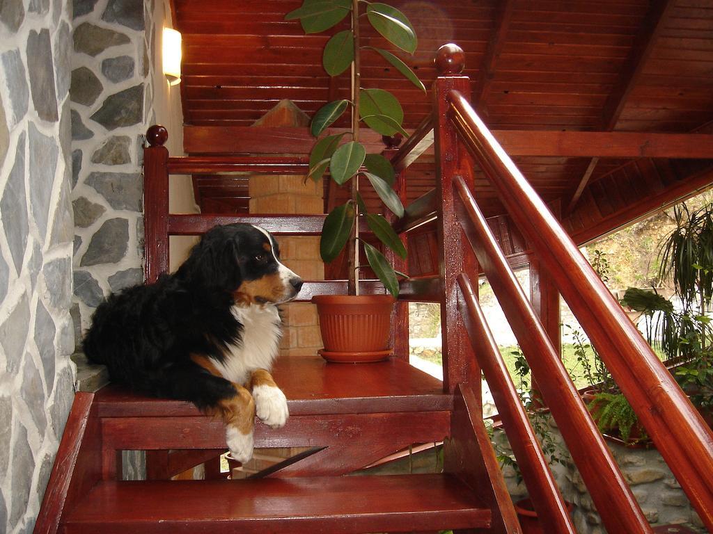Rem'S Pension Risnov Exterior photo